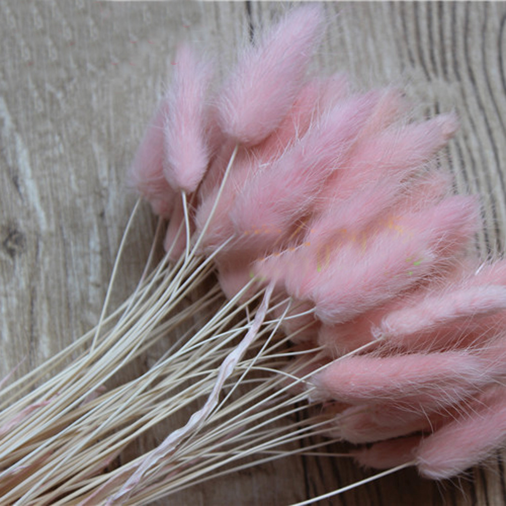 50pcs dried natural flower bou – Dried Flower Bunch Bewertung und Preis