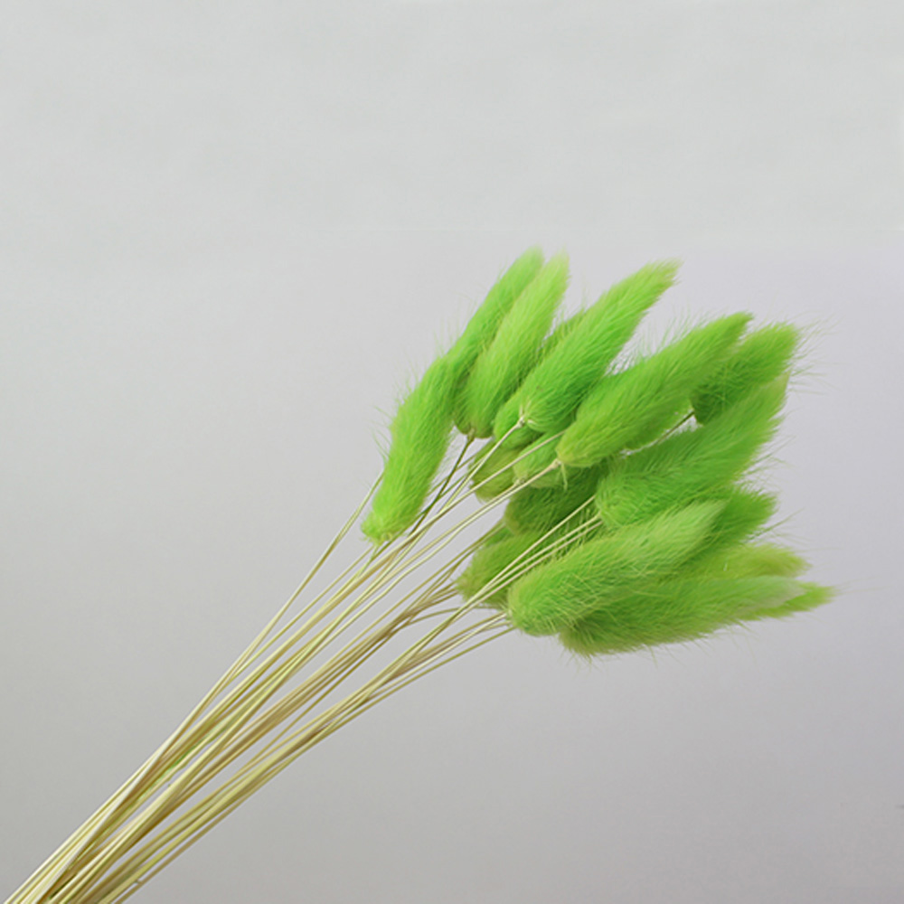 50pcs dried natural flower bou – Dried Flower Bunch Bewertung und Preis