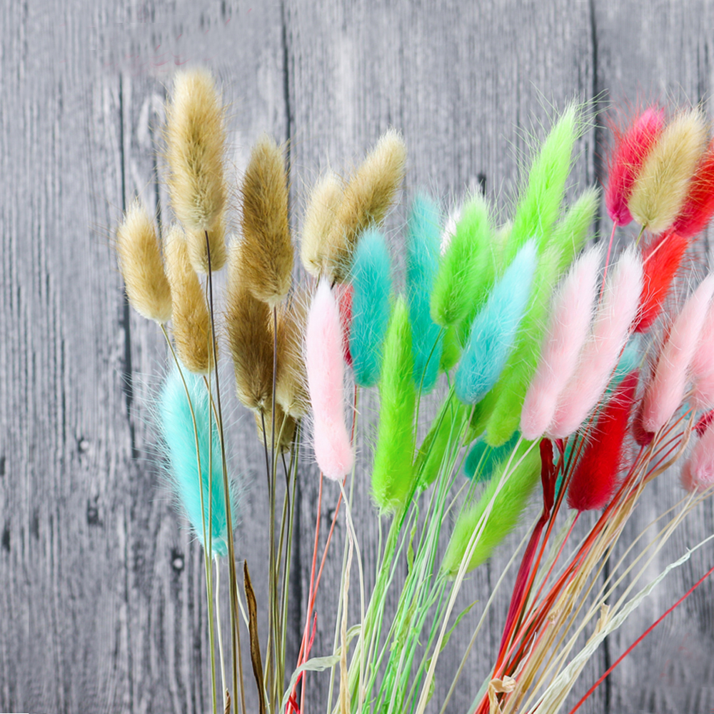 50pcs dried natural flower bou – Dried Flower Bunch Bewertung und Preis