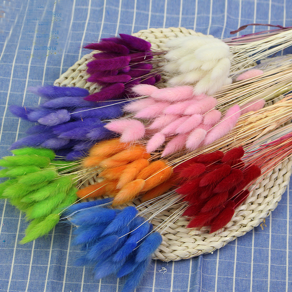 50pcs dried natural flower bou – Dried Flower Bunch Bewertung und Preis