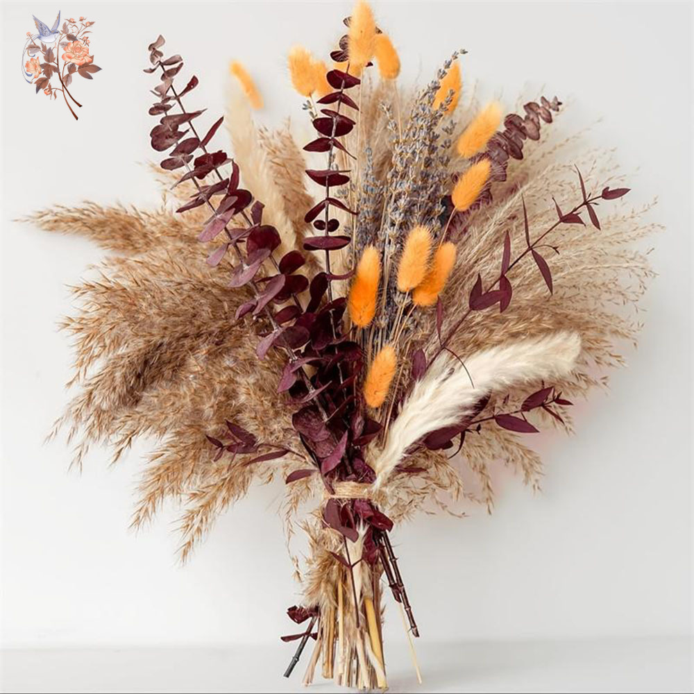 75PCS Dried Pampas Eucalyptus  – Dried Flower Bunch Bewertung und Preis