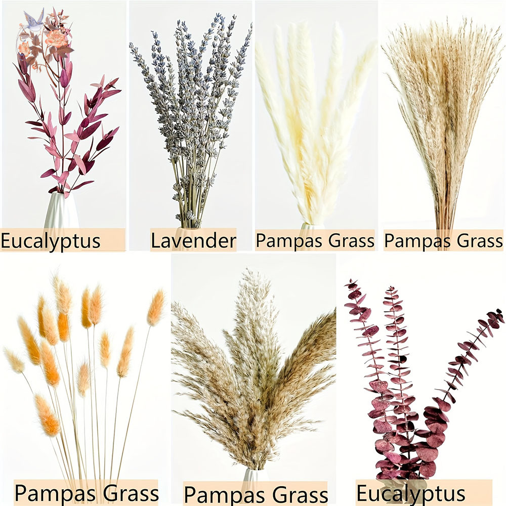 75PCS Dried Pampas Eucalyptus  – Dried Flower Bunch Bewertung und Preis