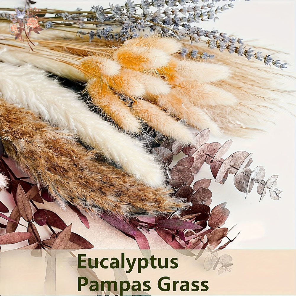 75PCS Dried Pampas Eucalyptus  – Dried Flower Bunch Bewertung und Preis