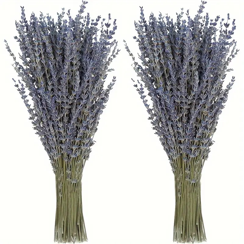 200pcs/Bunch Lavender Dried Fl – Dried Flower Bunch Bewertung und Preis