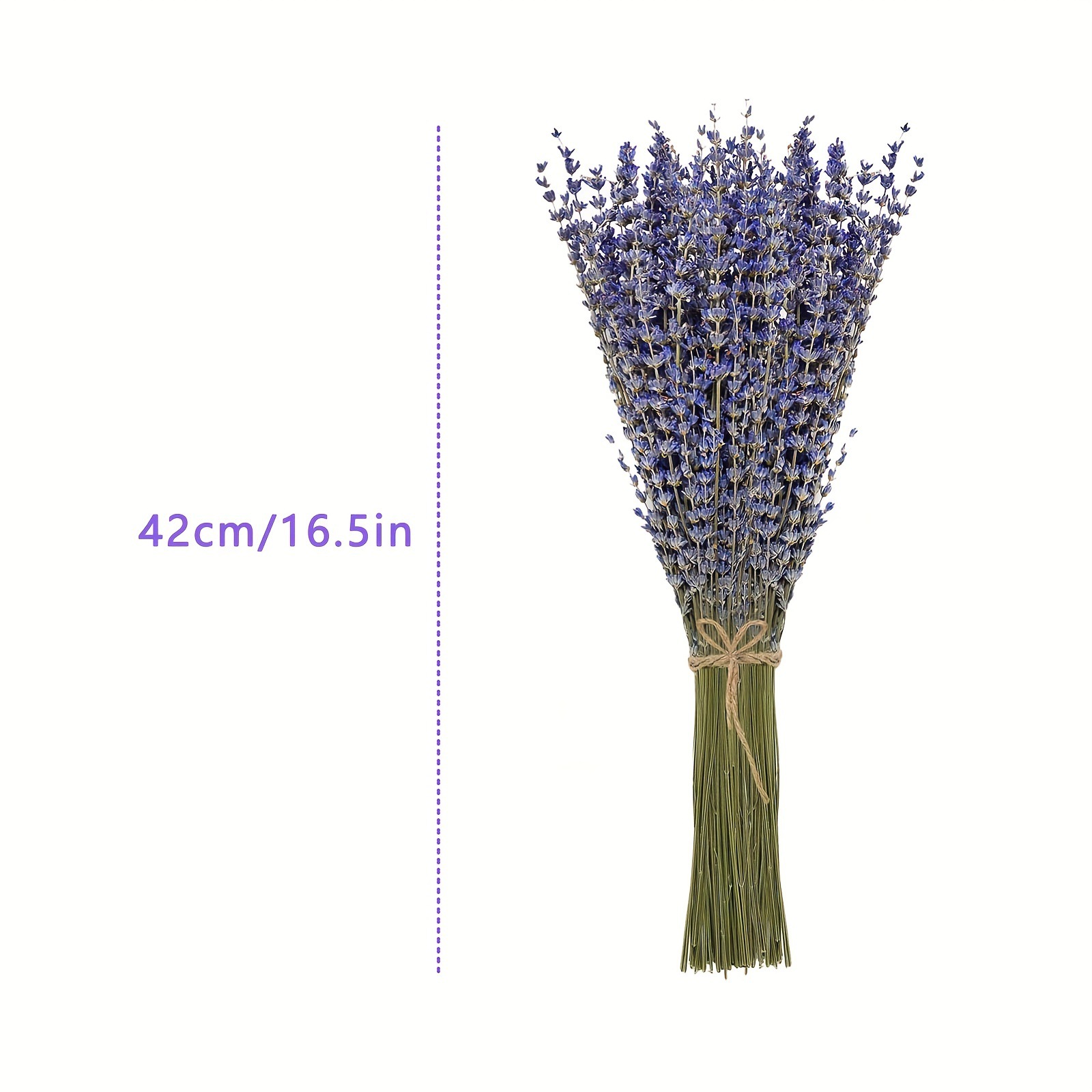 200pcs/Bunch Lavender Dried Fl – Dried Flower Bunch Bewertung und Preis
