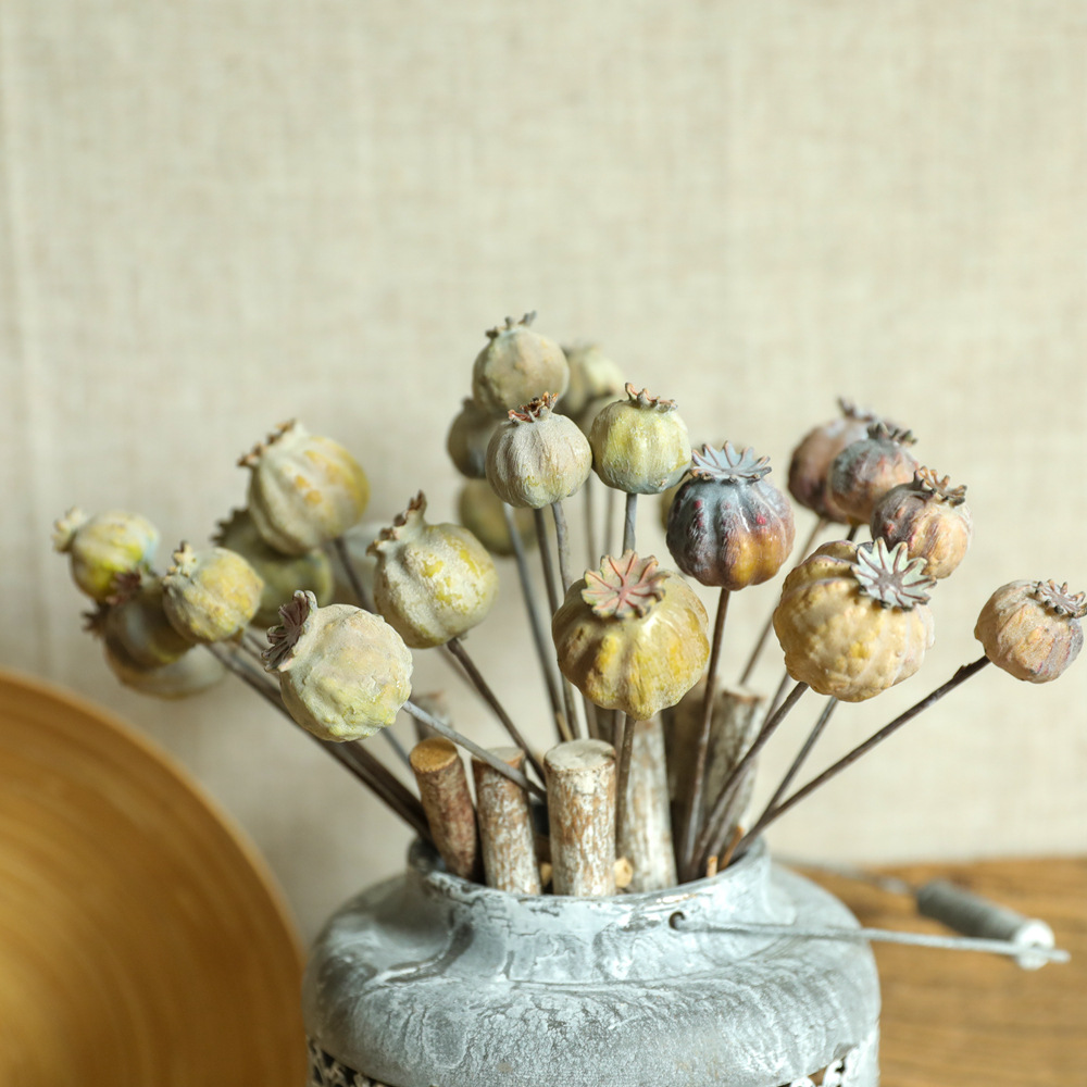 6Heads Poppies Fruit Dried Flo – Dried Flower Bunch Bewertung und Preis