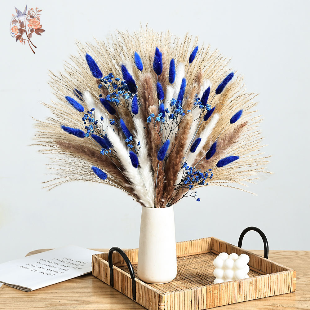 70 Stem Blue Fluffly Rabbit Ta – Dried Flower Bunch Bewertung und Preis