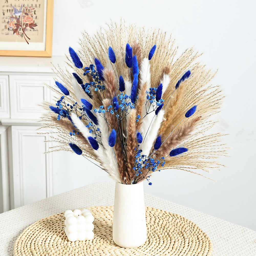 70 Stem Blue Fluffly Rabbit Ta – Dried Flower Bunch Bewertung und Preis