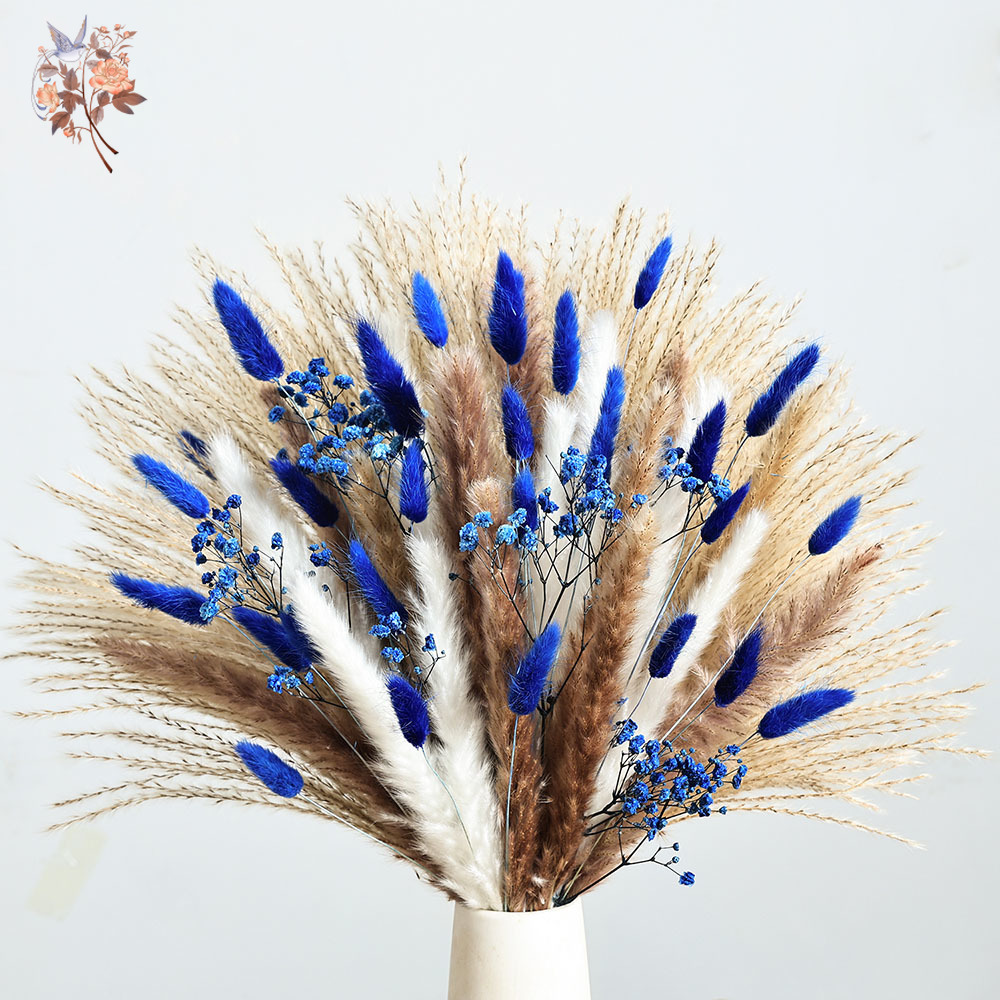 70 Stem Blue Fluffly Rabbit Ta – Dried Flower Bunch Bewertung und Preis