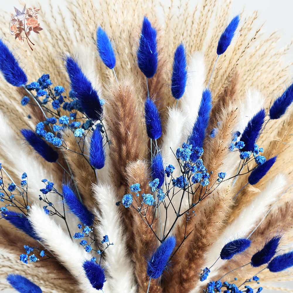 70 Stem Blue Fluffly Rabbit Ta – Dried Flower Bunch Bewertung und Preis