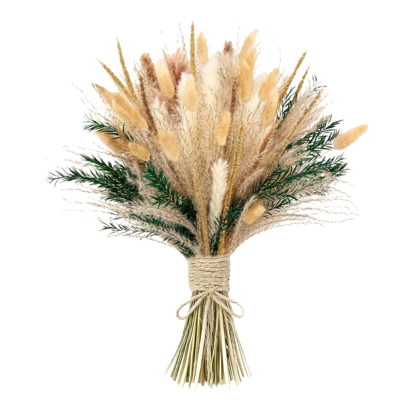 Bulk 100PCS Dried Pampas Grass – Dried Flower Bunch Bewertung und Preis