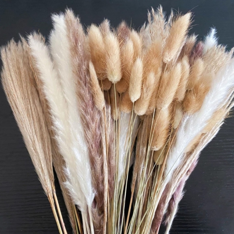 Bulk 100PCS Dried Pampas Grass – Dried Flower Bunch Bewertung und Preis