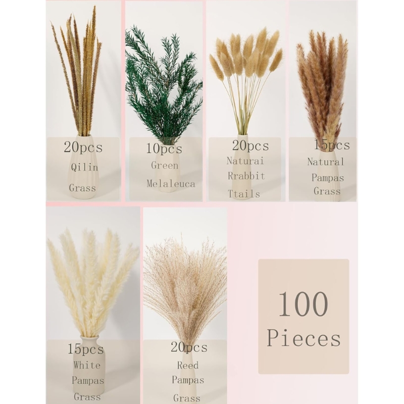 Bulk 100PCS Dried Pampas Grass – Dried Flower Bunch Bewertung und Preis