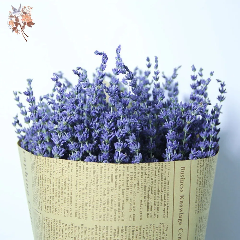 50g Natural Dried Lavender Bou – Dried Flower Bunch Bewertung und Preis