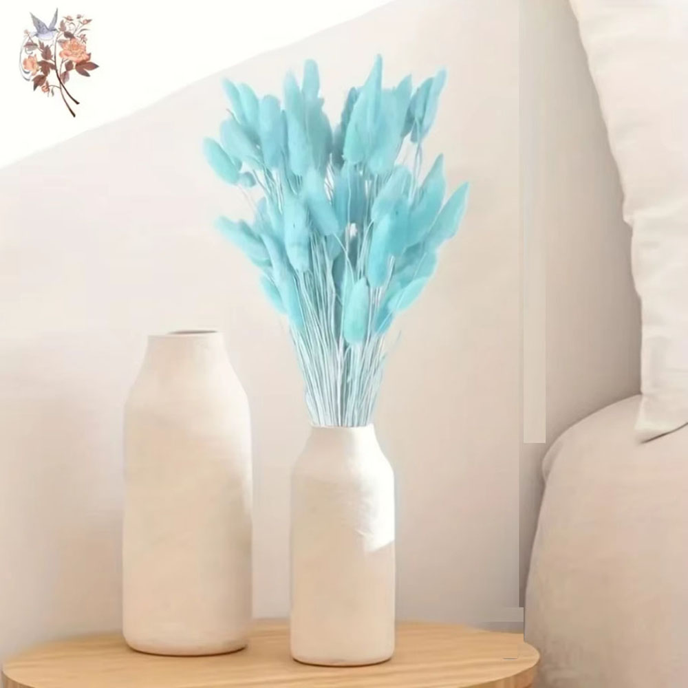 100Pcs Natural Rabbit Tails Gr – Dried Flower Bunch Bewertung und Preis