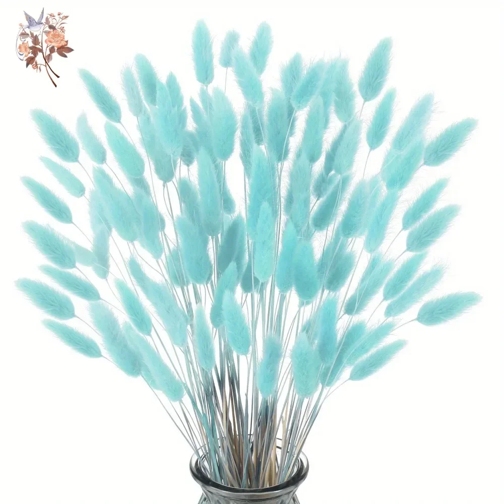 100Pcs Natural Rabbit Tails Gr – Dried Flower Bunch Bewertung und Preis
