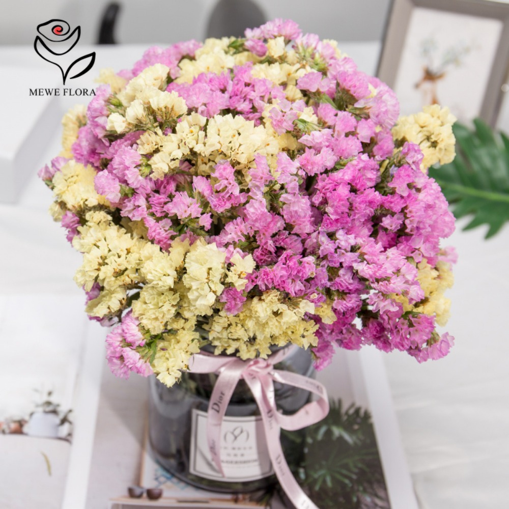 100g Dried Forget Me Not Flowe – Dried Flower Bunch Bewertung und Preis