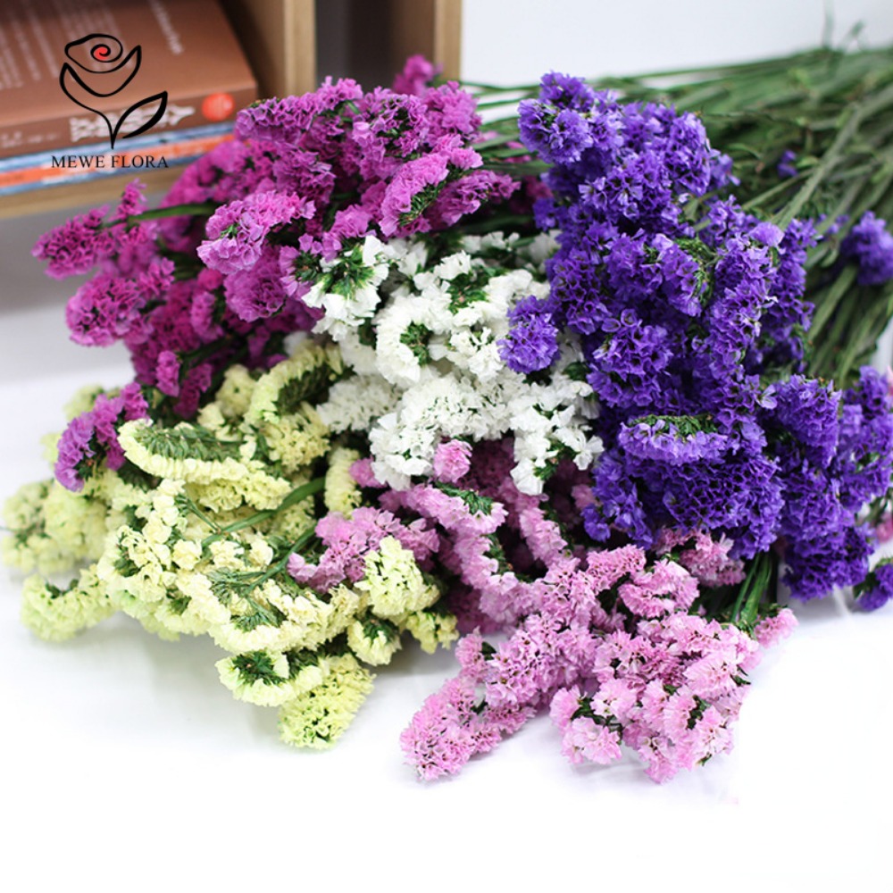 100g Dried Forget Me Not Flowe – Dried Flower Bunch Bewertung und Preis