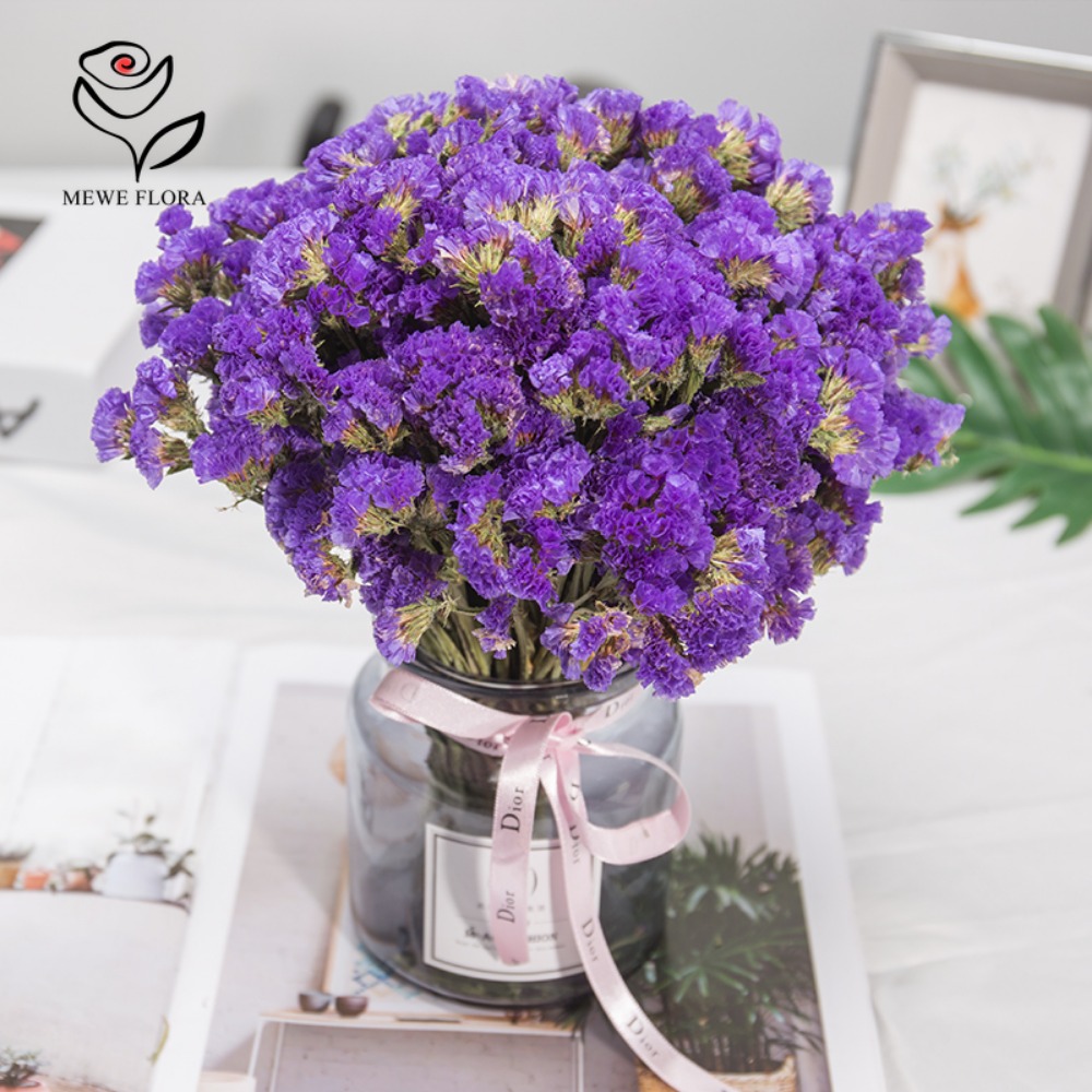 100g Dried Forget Me Not Flowe – Dried Flower Bunch Bewertung und Preis