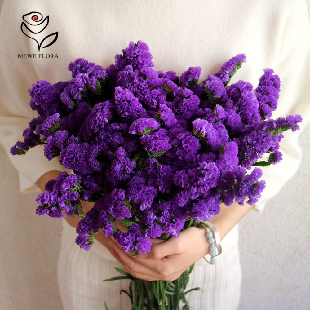 100g Dried Forget Me Not Flowe – Dried Flower Bunch Bewertung und Preis