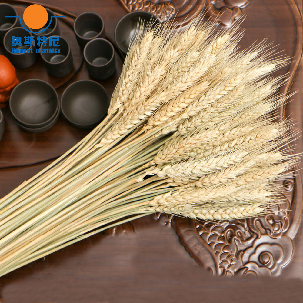 50pcs natural dried flower bou – Dried Flower Bunch Bewertung und Preis