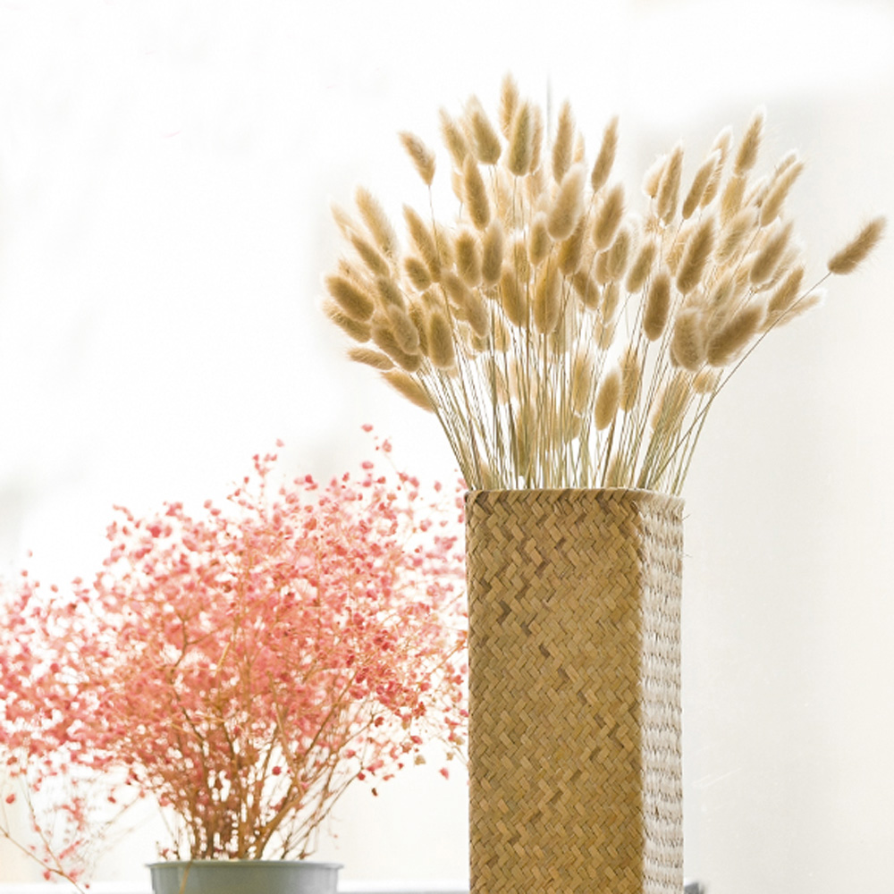 200pcs natural dried Lagurus o – Dried Flower Bunch Bewertung und Preis