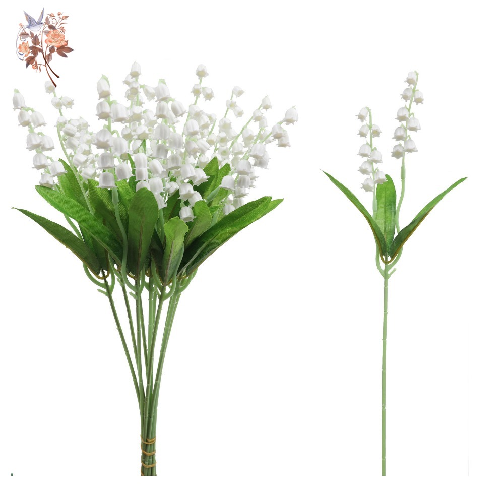 White Lily of The Valley 10Pcs – Dried Flower Bunch Bewertung und Preis