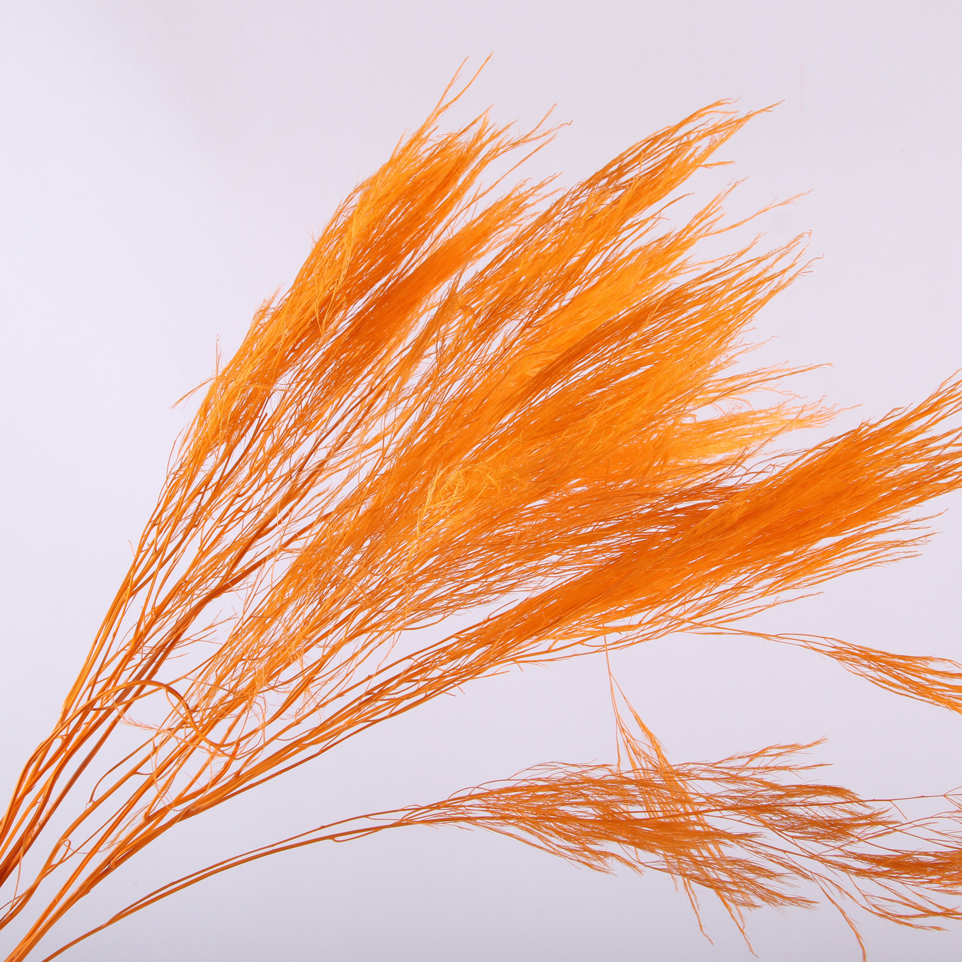 10pcs/bunch Dried Flower Bouqu – Dried Flower Bunch Bewertung und Preis