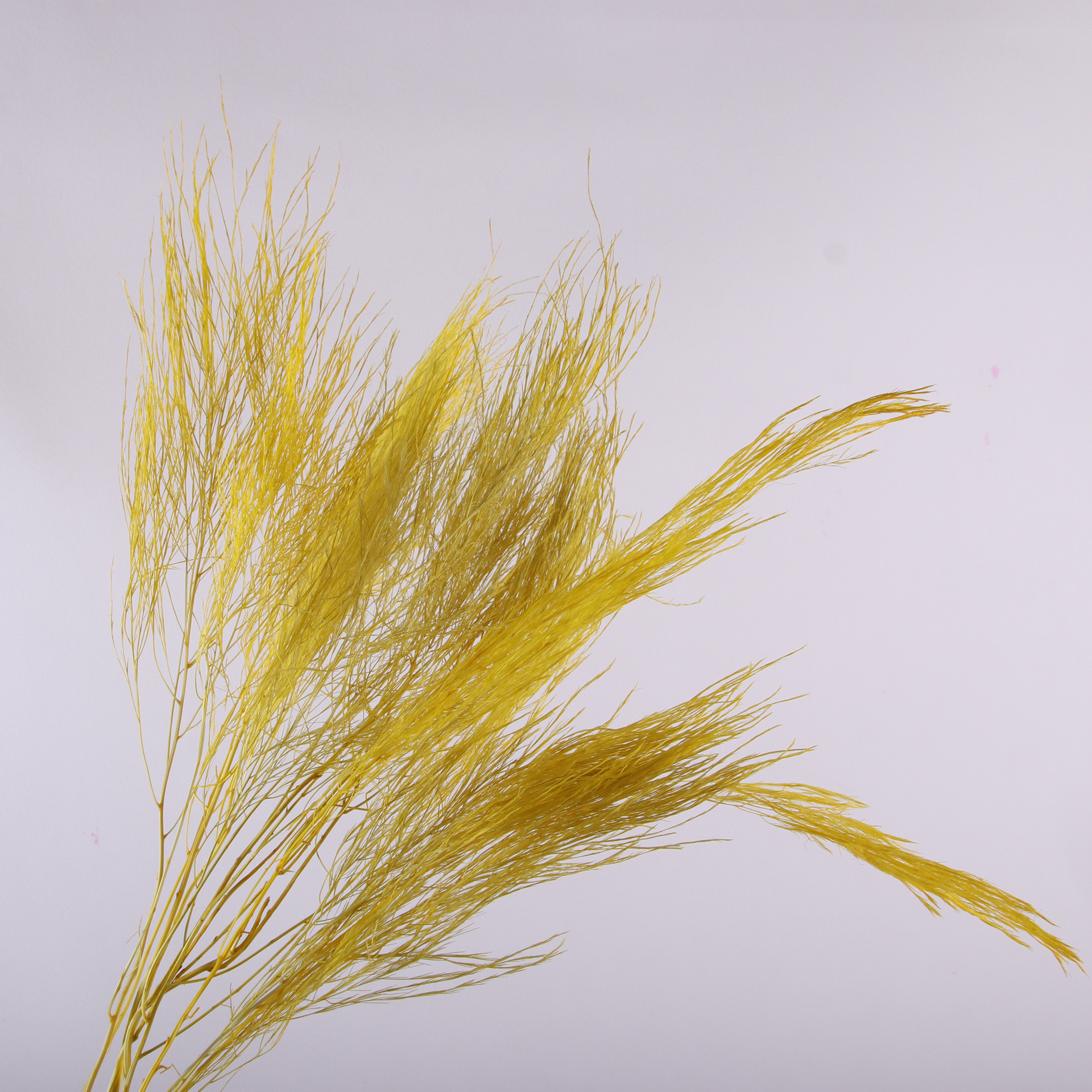 10pcs/bunch Dried Flower Bouqu – Dried Flower Bunch Bewertung und Preis