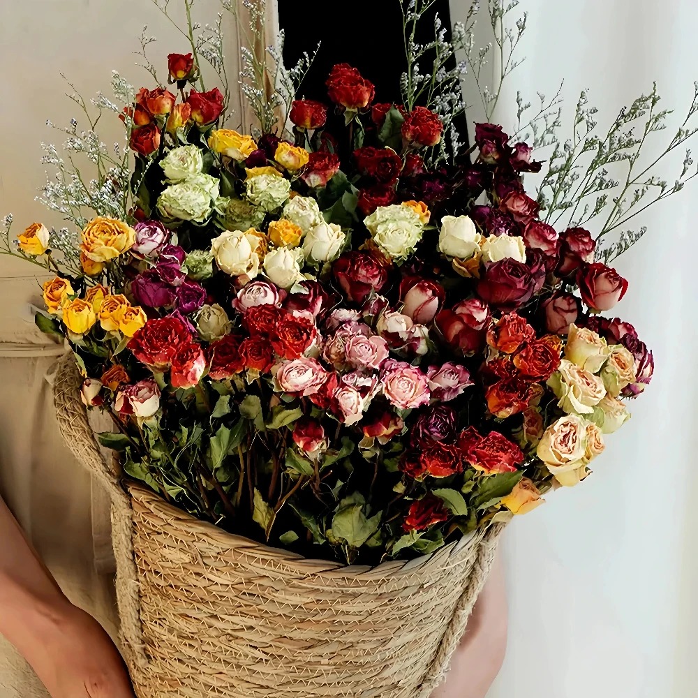 a lot Small Rose, Decorative N – Dried Flower Bunch Bewertung und Preis