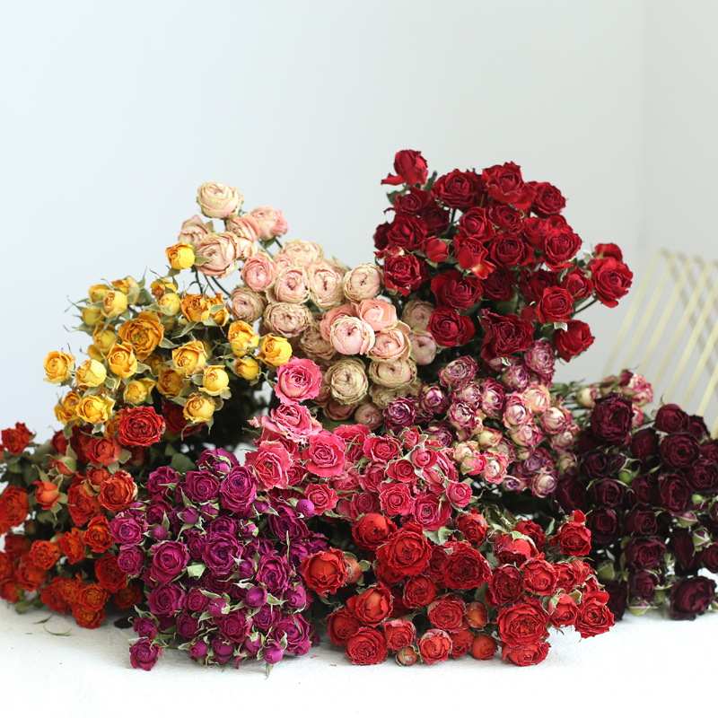 a lot Small Rose, Decorative N – Dried Flower Bunch Bewertung und Preis