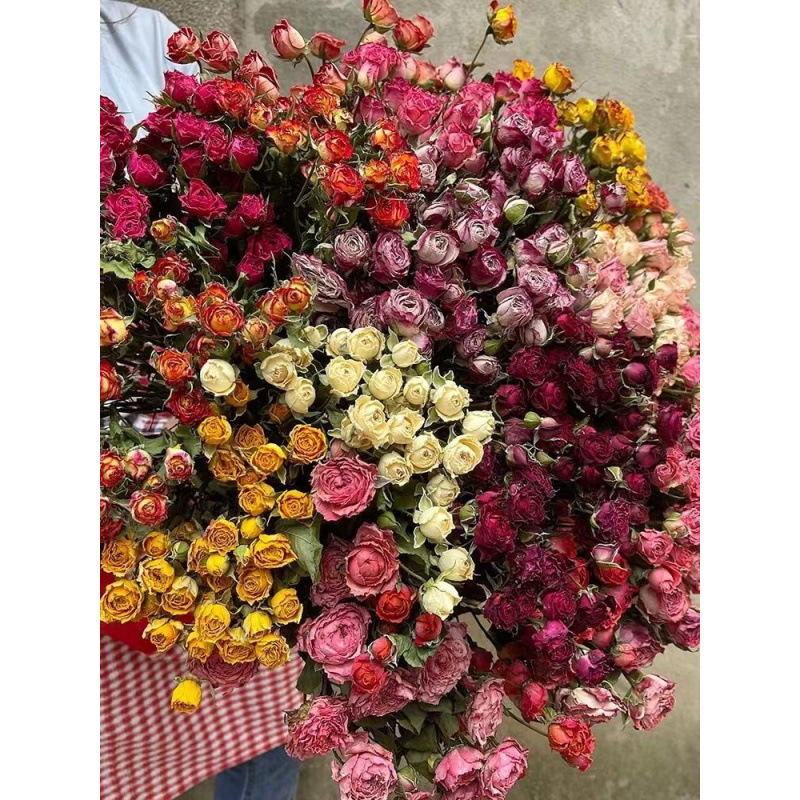 a lot Small Rose, Decorative N – Dried Flower Bunch Bewertung und Preis